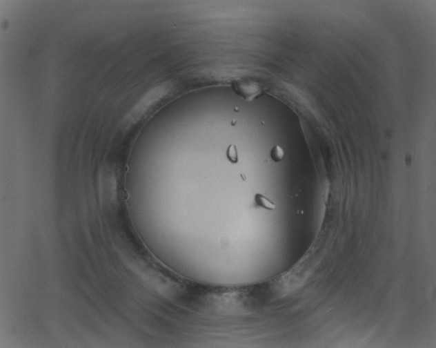 X0000068770120200605011037