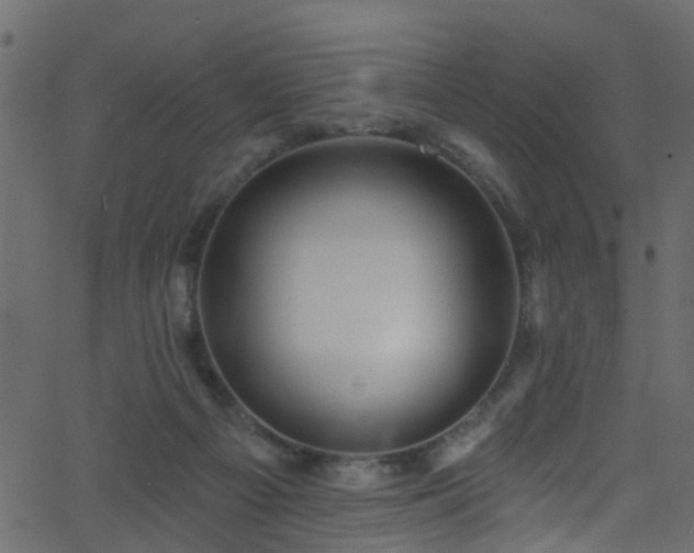 X0000068770121200605011037