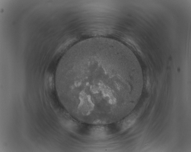 X0000068770123200605011037