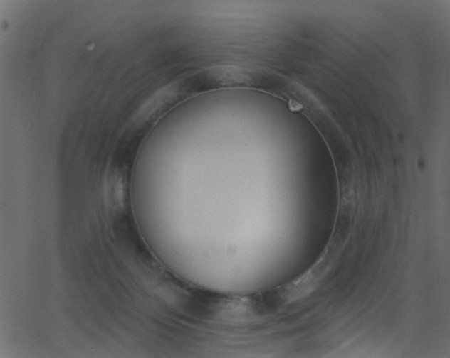 X0000068770124200605011037