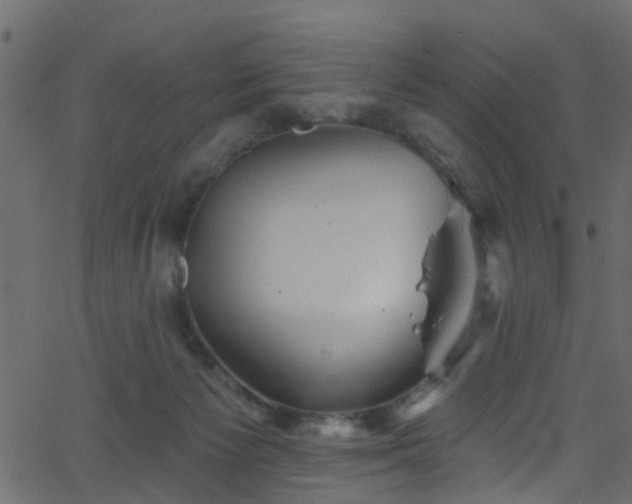 X0000068770125200605011037