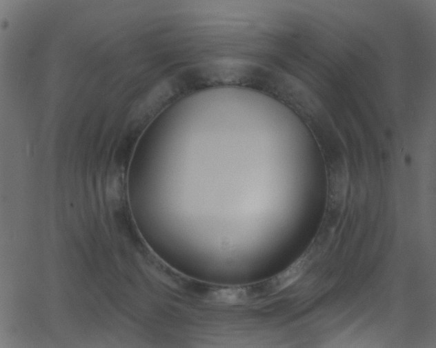 X0000068770126200605011037