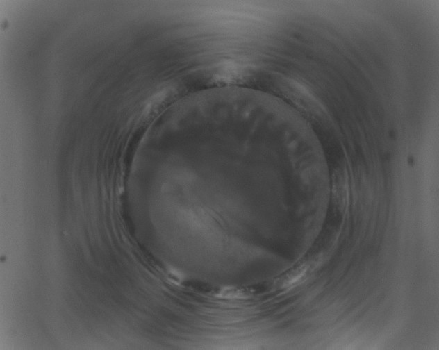 X0000068770127200605011037