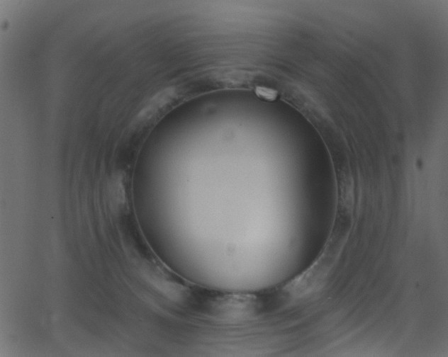 X0000068770128200605011037