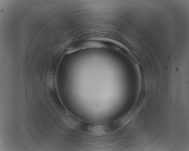 X0000068770129200605011037