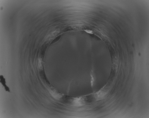 X0000068770130200605011037