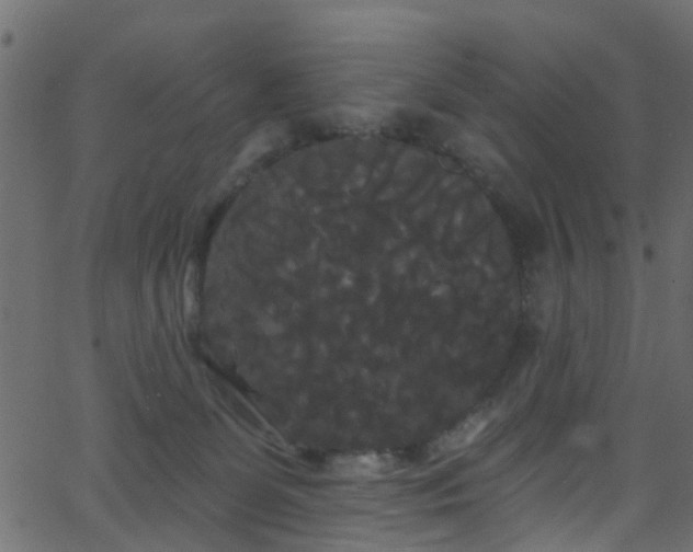 X0000068770131200605011037