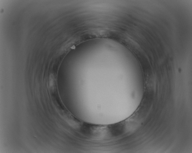 X0000068770132200605011037