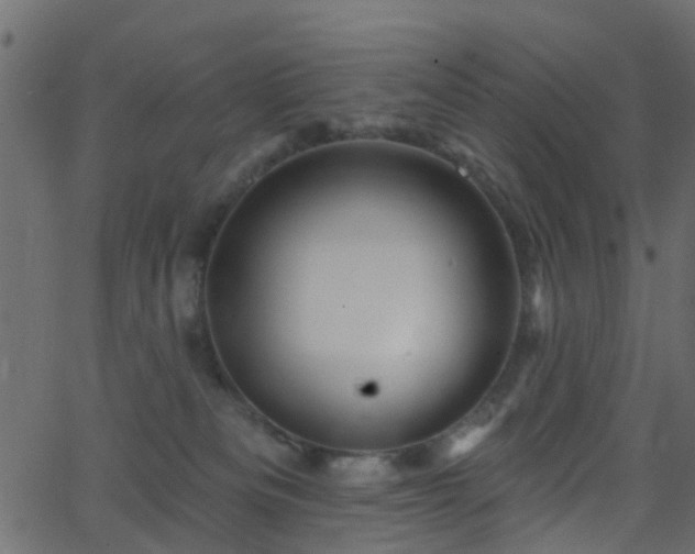 X0000068770133200605011036