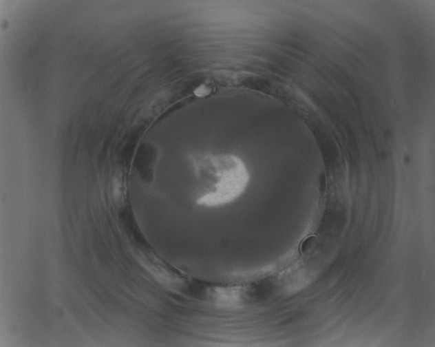 X0000068770134200605011036