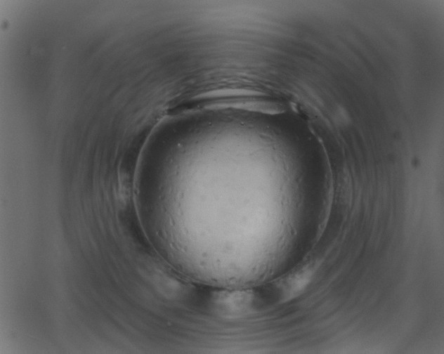 X0000068770135200605011036