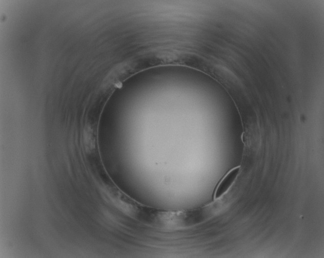 X0000068770136200605011036