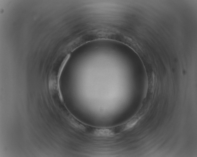 X0000068770137200605011036