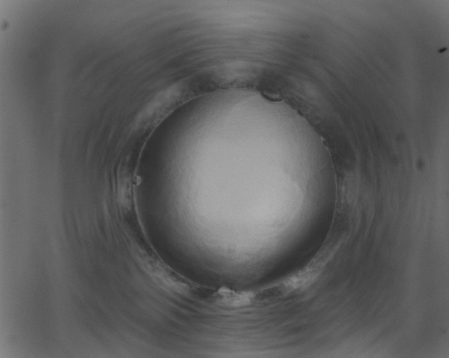 X0000068770138200605011036