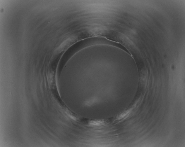 X0000068770139200605011036