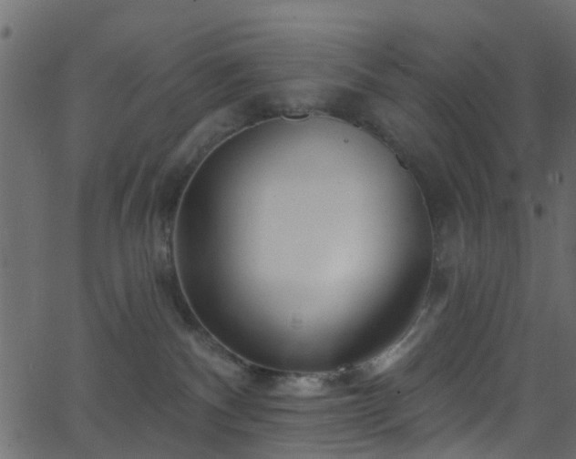 X0000068770140200605011036