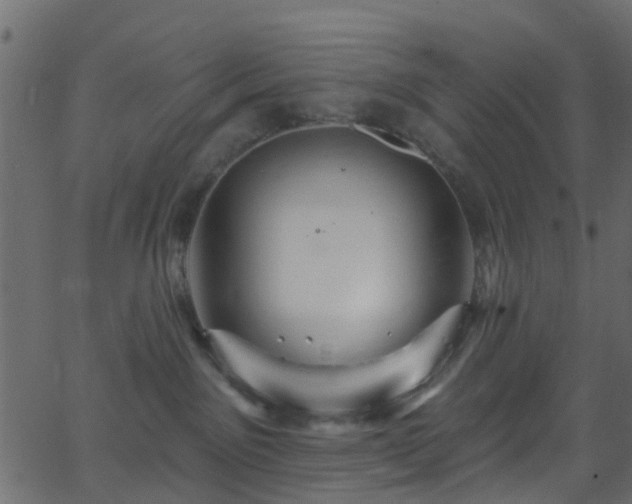 X0000068770141200605011036