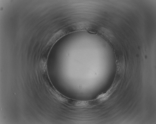 X0000068770142200605011036