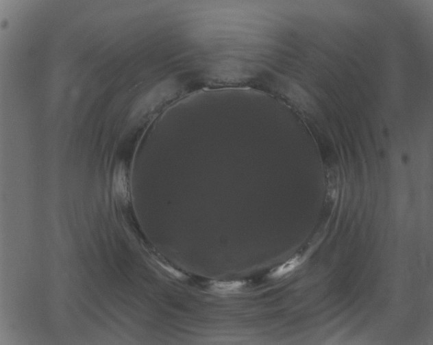 X0000068770143200605011036