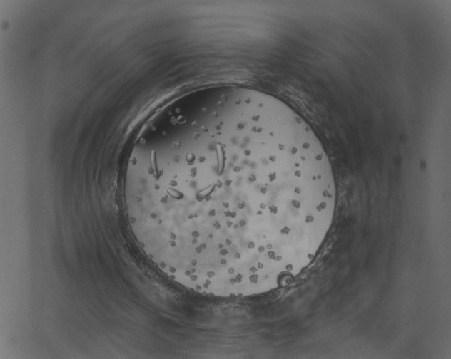 X0000068770146200605011036