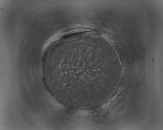 X0000068770149200605011036