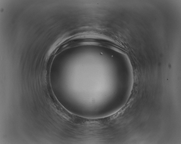 X0000068770150200605011036