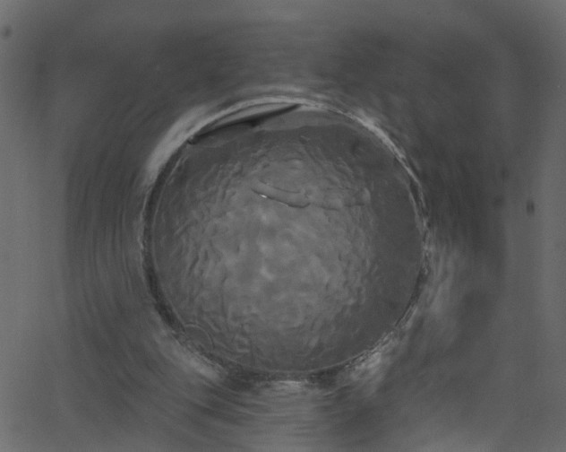 X0000068770151200605011036