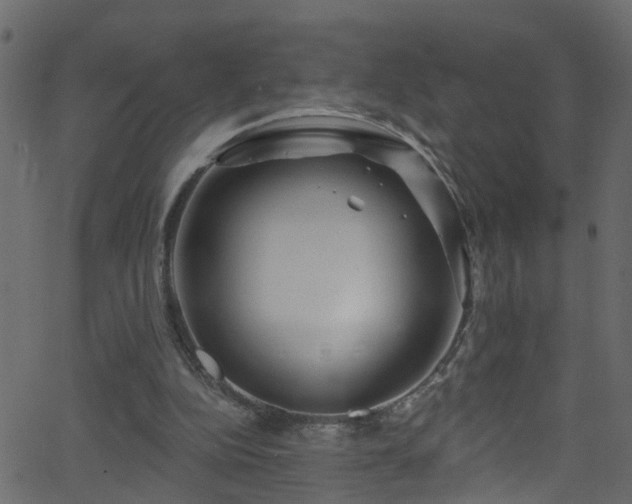 X0000068770152200605011036