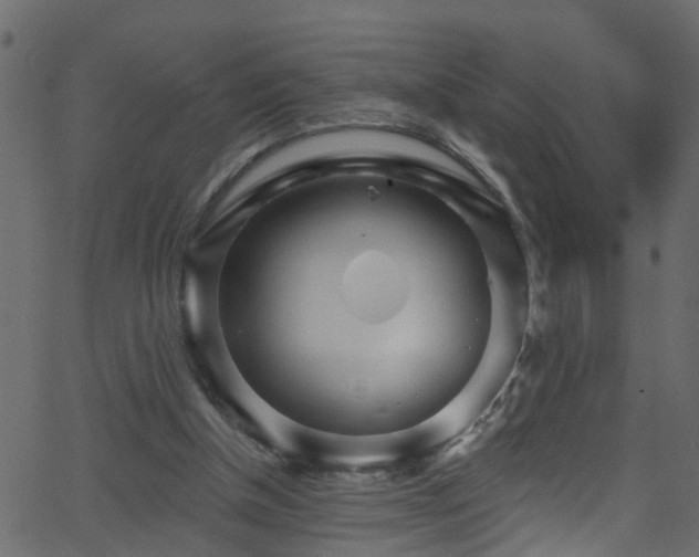 X0000068770154200605011036