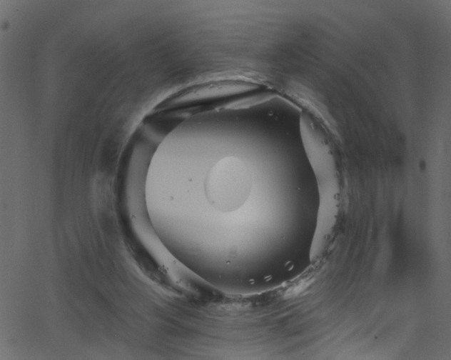 X0000068770156200605011036