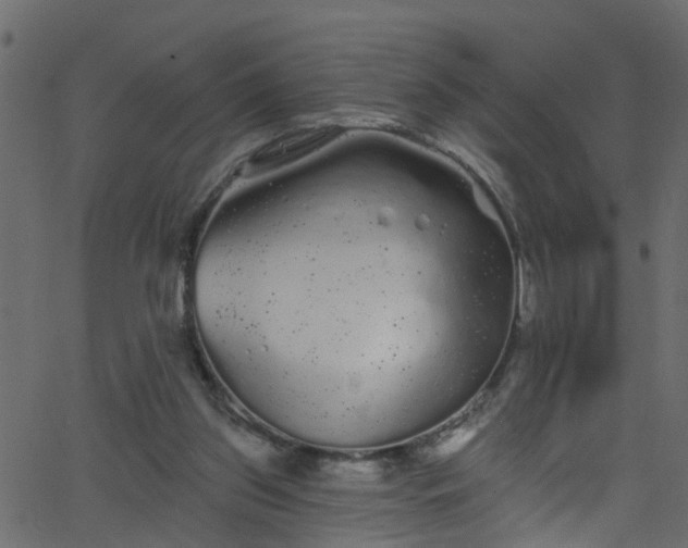 X0000068770157200605011036