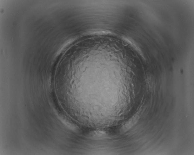 X0000068770159200605011036