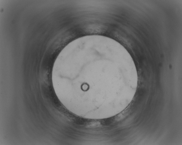 X0000068770162200605011036