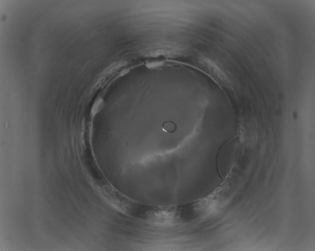 X0000068770163200605011036