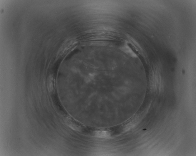 X0000068770169200605011036