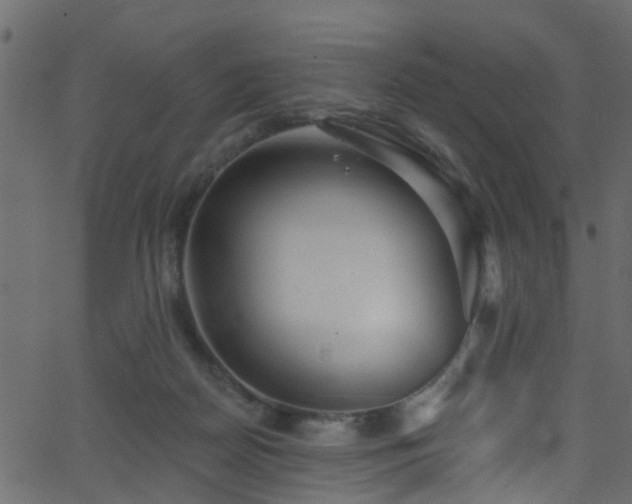 X0000068770170200605011036