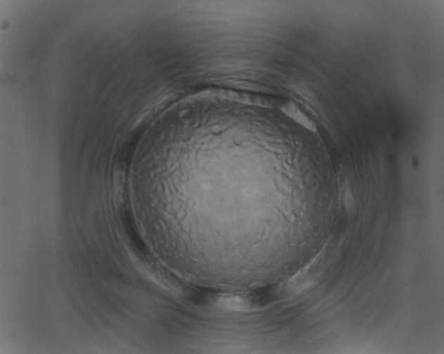 X0000068770171200605011036