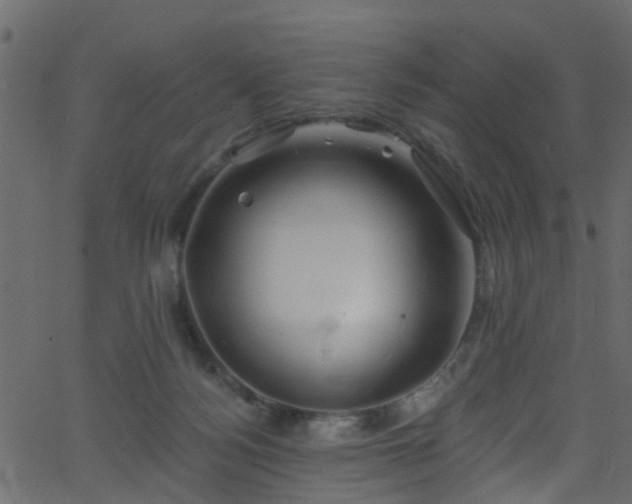 X0000068770172200605011036