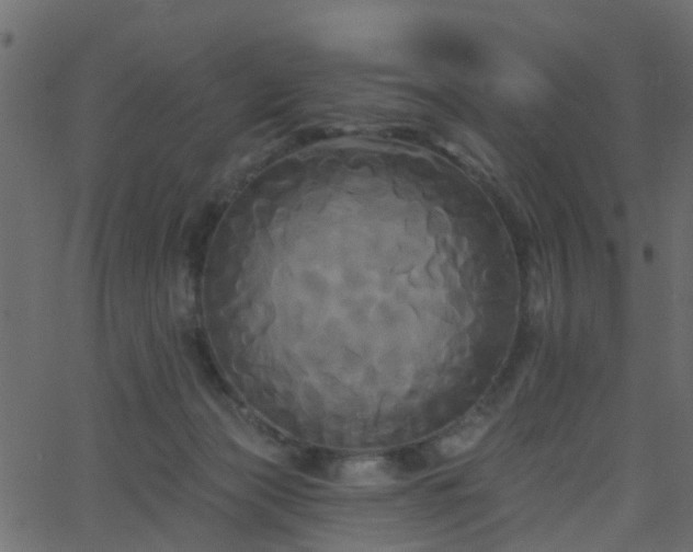 X0000068770173200605011036