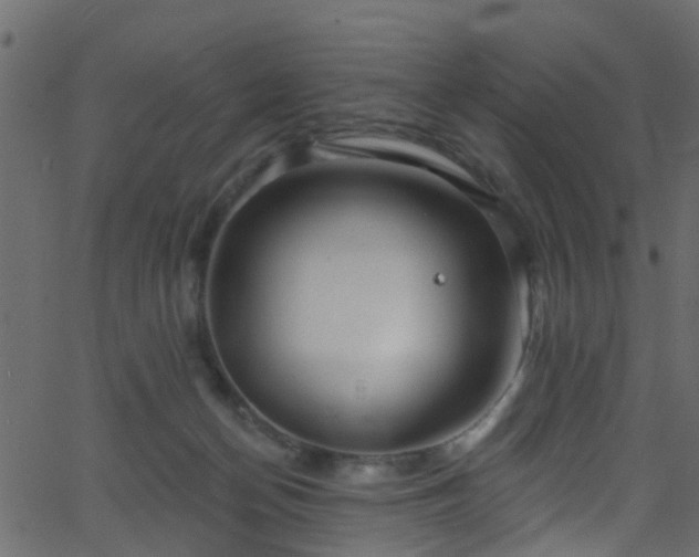 X0000068770174200605011036