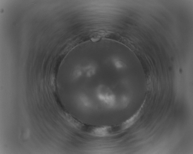 X0000068770178200605011036