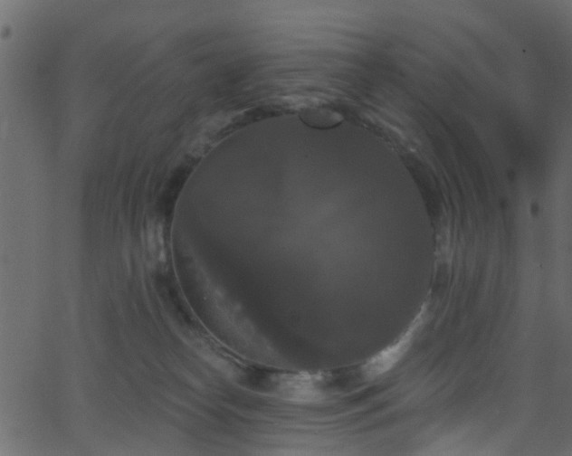 X0000068770182200605011036