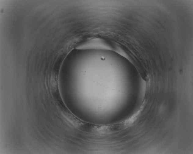 X0000068770186200605011036