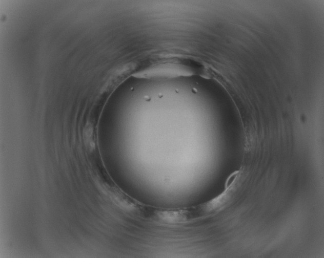 X0000068770187200605011036