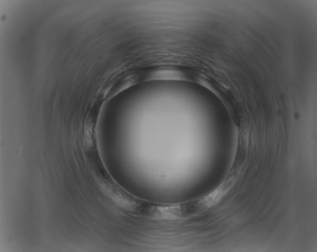 X0000068770188200605011036