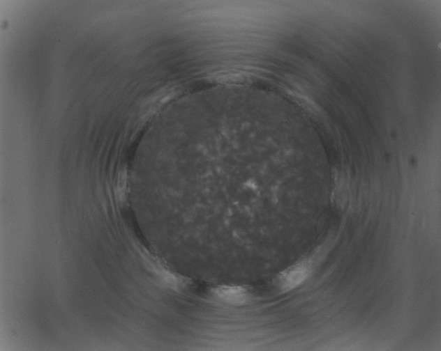 X0000068770189200605011036