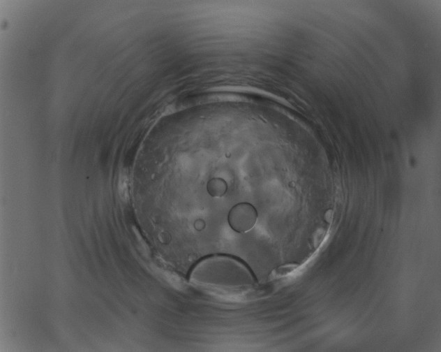 X0000068770191200605011036