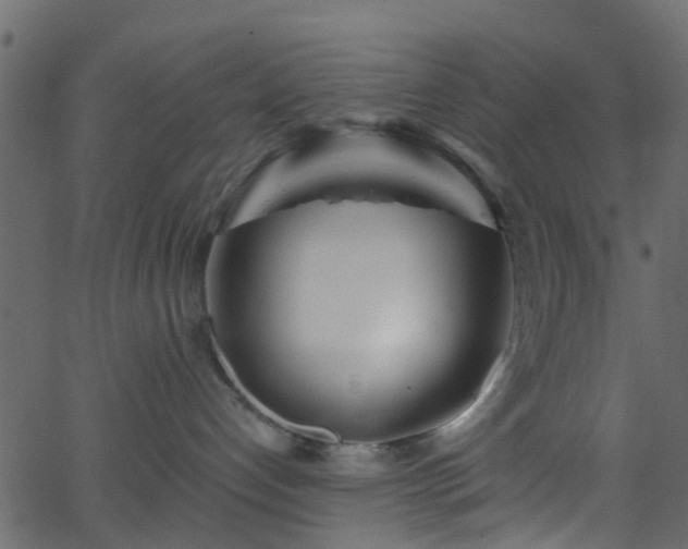 X0000068770192200605011036