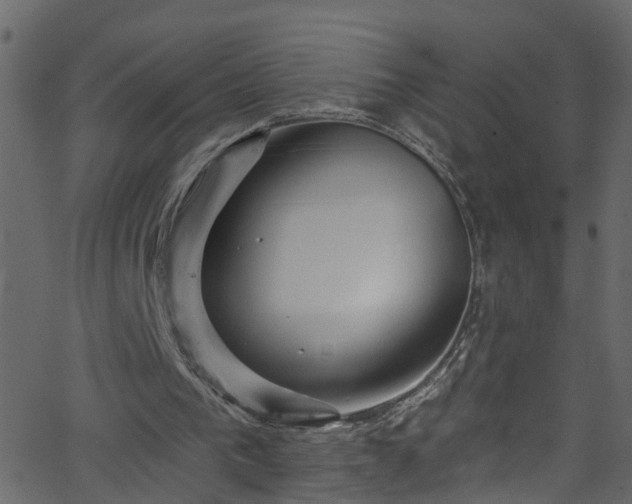 X0000068770193200605011036