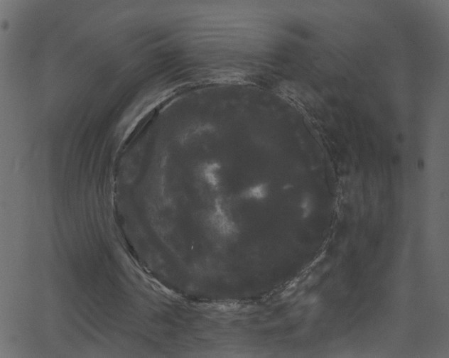 X0000068770194200605011036